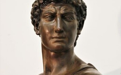 After Michelangelo - Sculpture, Bust of David - 62 cm - Bronze (patinated) - Early 20th century