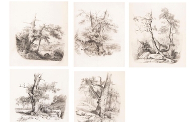Anonymes XIXe, cinq dessins au crayon, études de troncs d'arbres dans le goût d'Alexandre Calame