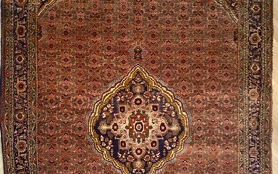 Bidjar - Carpet - 340 cm - 230 cm