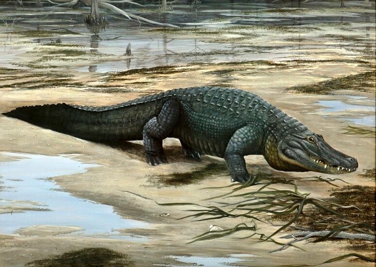 1986 C. Ford Riley UF Florida Alligator Painting