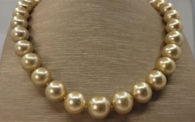 Certified Golden South Sea Pearls - Large Size 12x15.1mm - 18 kt. Yellow gold - Necklace