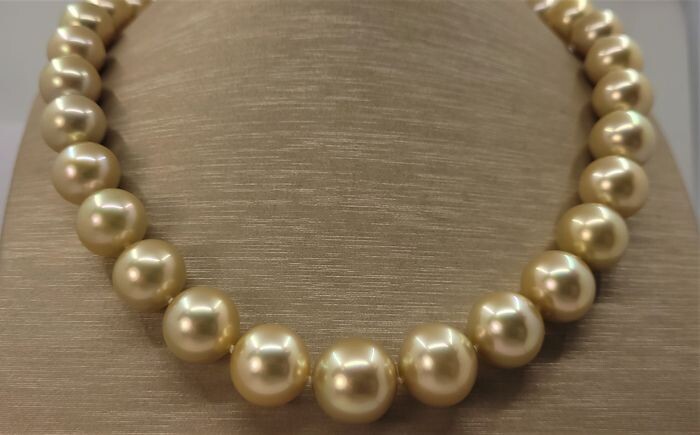 Certified Golden South Sea Pearls - Large Size 12x15.1mm - 18 kt. Yellow gold - Necklace