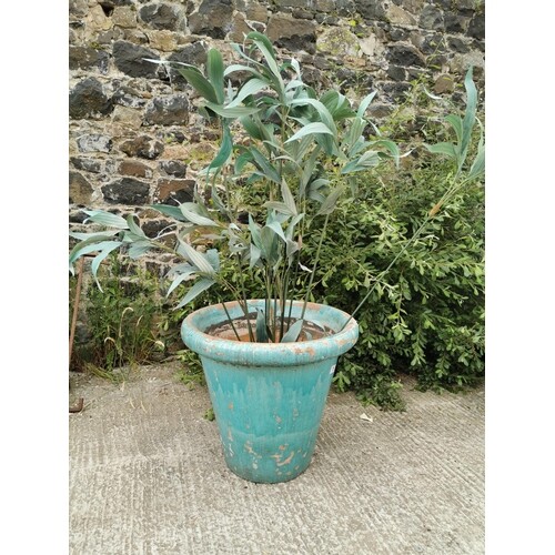 Good quality early 20th C. glazed terracotta planter {67 cm ...