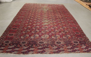 Kazak - Carpet - 305 cm - 196 cm