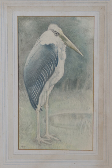 Lilian Andrews - 'The Adjutant Stork', pencil and pastel on vellum paper laid on board, si