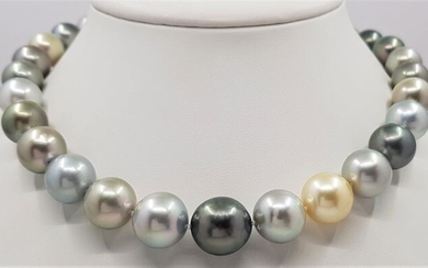 NO RESERVE PRICE - 18 kt. Yellow Gold - 12x15.2mm Large Round Multi-Coloured Tahitian Pearls - Necklace