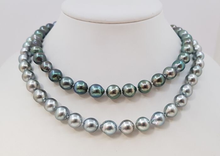 NO RESERVE PRICE - 8x11mm Shimmering Silvery Tahitian Pearls - Long Necklace