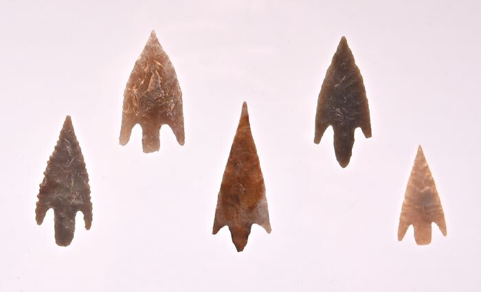 Neolithic agate, flint 5 arrow heads - 48-32×-×- mm - (5)