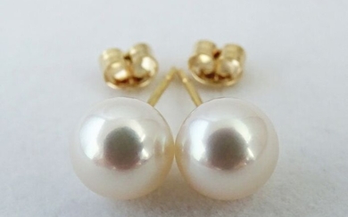 No Reserve Price - Akoya Pearls, Premium 8,5 -9 mm - 18 kt. Yellow gold - Earrings