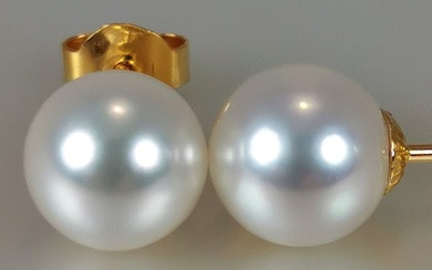 No Reserve Price-Akoya RD Ø 8x8,5 MM - 18 kt. Akoya pearls, Yellow gold - Earrings Akoya Pearl