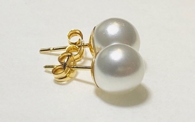 No Reserve Price - Earrings Yellow gold Pearl