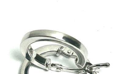 No Reserve Price - Hoop earrings - 18 kt. White gold