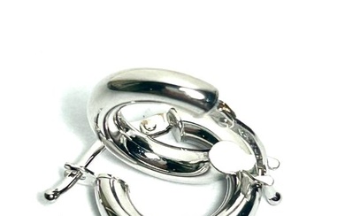 No Reserve Price - Hoop earrings - 18 kt. White gold