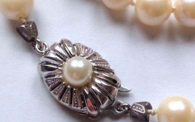 No Reserve Price - Necklace 14 kt white gold - Akoya pearls