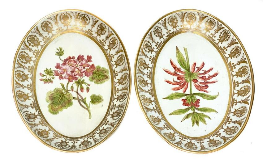 Pair Continental Oval Botanical Floral Dishes
