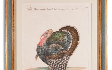 SAVERIO MANETTI (ITALIAN 1723 - 1784), TWELVE BIRDS FROM 'A NATURAL HISTORY OF BIRDS'
