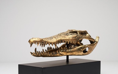 Sculpture, Saltwater Crocodile Skull fashioned in bronze, on custom stand - Bronze - 21 cm - Bronze
