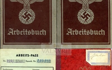 Set of 4 German Identification Documents.