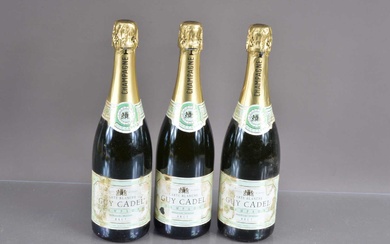 Three bottles of Guy Cadel Carte Blanche Champagne