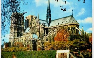 Travel Poster Paris Notre Dame France