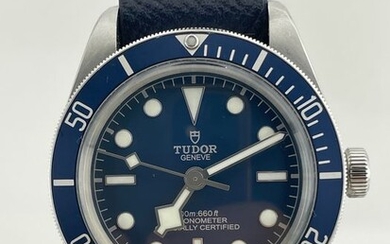 Tudor - Black Bay - 79030 - Men - 2011-present