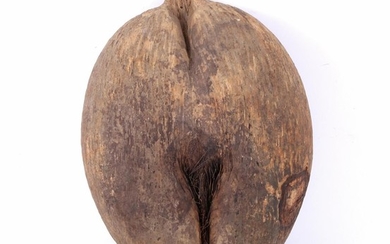 (-), Vrucht, Coco de Mer, 34x25 cm