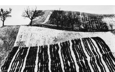 Mario Giacomelli ( 1925 - 2000 ) , Paesaggio 1980 ca. Vintage gelatin silver print. Artist's credit stamp and "Gallery Il Diaframma" credit stamps on the verso. 10.24...