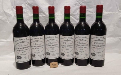 6 bottles château LESTAGE DARQUIER 1970 MOULIS, Nice presentation.