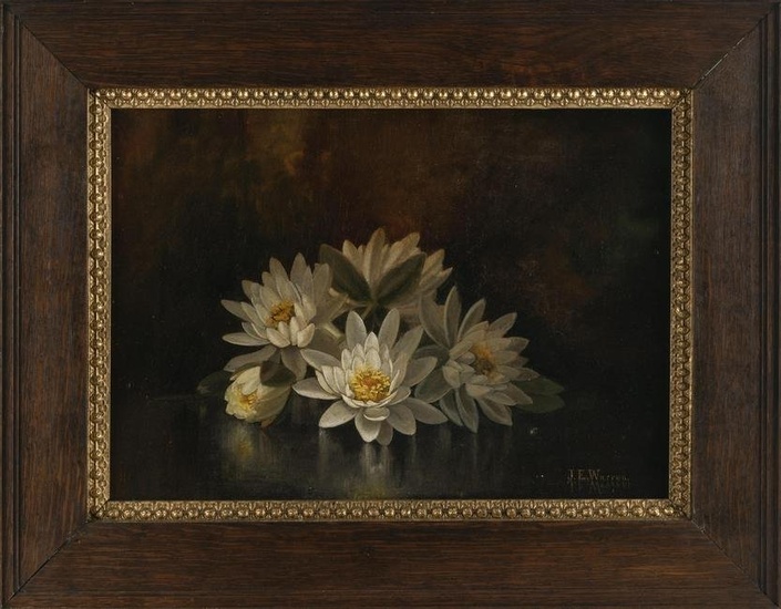 AMERICAN SCHOOL (Early 20th Century,), Study of lilies., Oil on canvas, 14" x 20". Framed 21.25" x