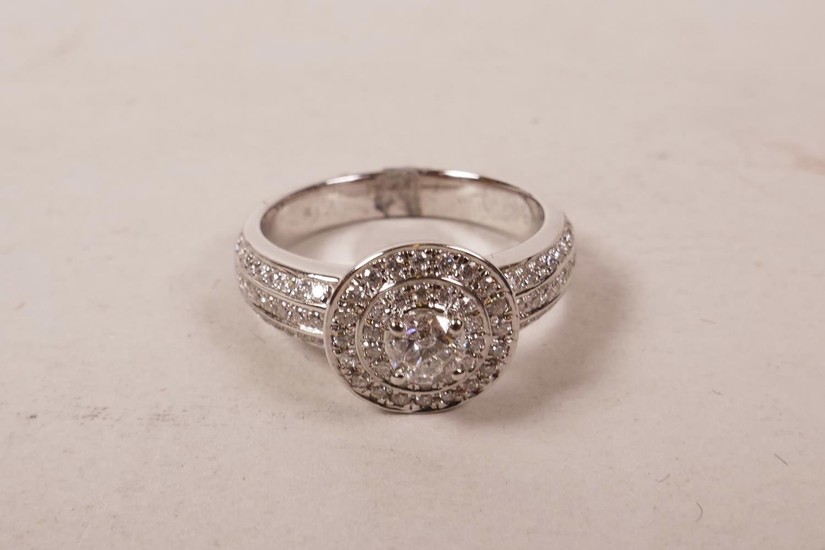 An 9ct white gold, diamond encrusted ring, approximate size ...