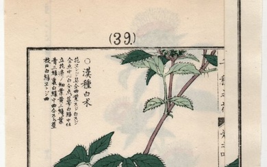 Japanese Woodblock Flowers and Plants by Kono Bairei