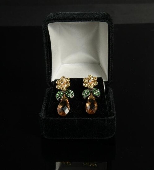 Pair of 14K Gold and Gemstone Earrings