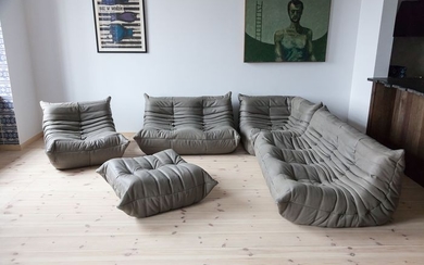 Michel Ducaroy - Ligne Roset - Lounge chair, Sofa (5) - togo