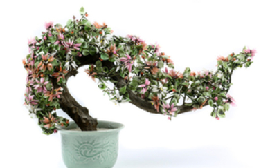 Chinese Flowering Glass Tree