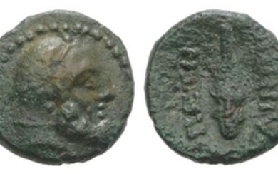 Bruttium, Petelia, late 3rd century BC. Æ (10mm, 1.01g, 9h)....
