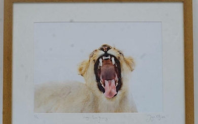 A modern photographic print, 'Kruger, Lion Yawning', limited edition 2/12, indistinctly signed and dated '2016', held in a modern glazed frame, the print 20.5cm x 29cm