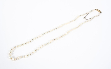 An early 20th single strand of graduated pearls on an unmarked yellow metal clasp