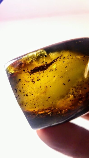 Baltic Amber with Inclusions - massive stone - Polished - 11×5×4 cm - 100 g