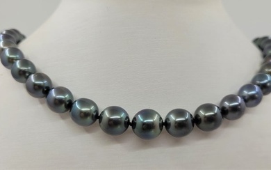 Certified Aurora Peacock - 8.0x10.9mm Tahitian Pearls - Strongest Teri Brightness - 14 kt. White gold - Necklace
