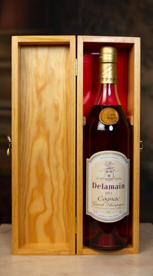 Delamain 1973 - Cognac Millésime - b. 2003 - 70cl