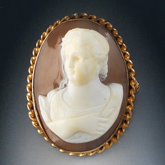 Finely Carved Dimensional Shell Cameo Brooch
