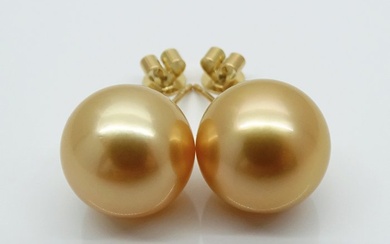 Golden South Sea Pearls, Round, 24K Golden Saturation 12.55, 12.58 mm - 18 kt. Yellow gold - Earrings
