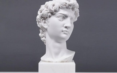 Italian Bust After Michelangelo's "David" Bust White Carrara Marble Sculpture - (4.6lbs)