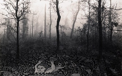 JERRY UELSMANN (1934- ) Untitled (forest carpet).