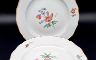 Meissen - Table service - 1st choice! Floral pattern with gold rim Exclusive 6 x dinner plates approx. 25 cm - Porcelain