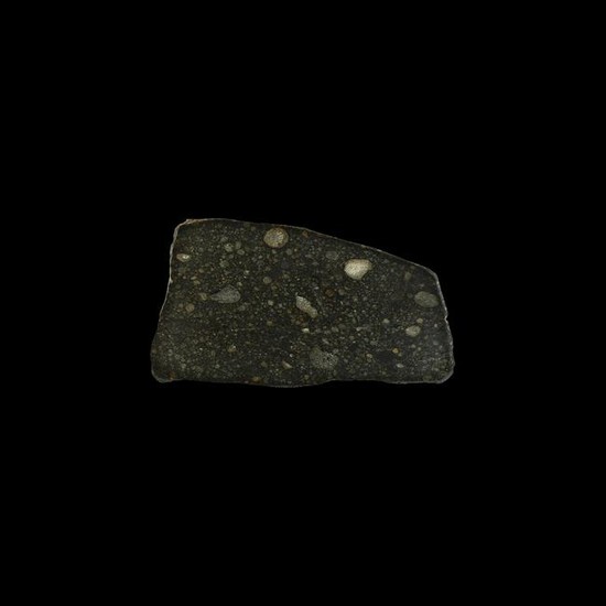 NWA 7936 Chondrite Meteorite Polished Slice