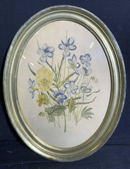 P.L.B. Framed Hand Colored Botanical Engraving