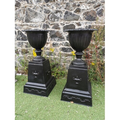 Pair of good quality cast iron urns on pedestals in the Geor...
