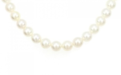 Silver Clasp Akoya Pearl Necklace 7.5-8mm