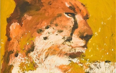 Wil van der Laan - Cheetah #1